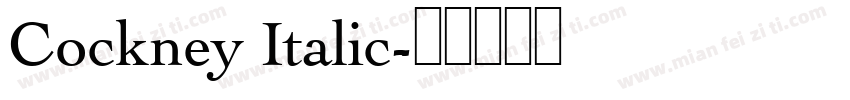 Cockney Italic字体转换